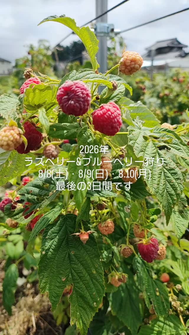 VAN SICKEL FARM TSUKUBA | Tsukuba-shi Ibaraki