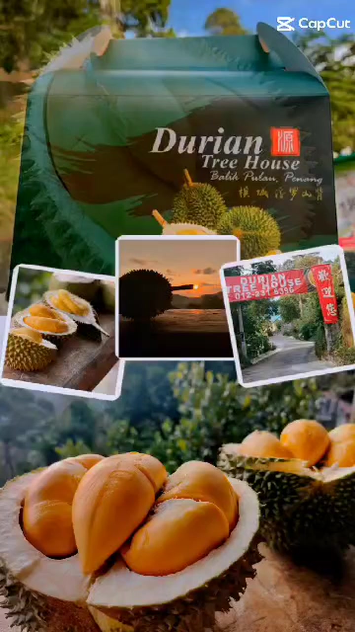 Selamat Hari Raya Aidilfitri Mohon maaf Zahir dan Batin. #durian # ...