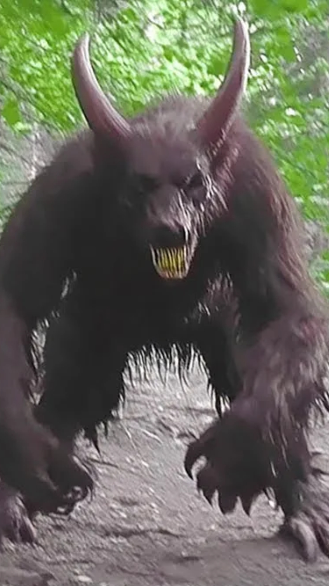 Terrifying Mutant Creatures Finally Caught on Camera #mutant #creatures ...