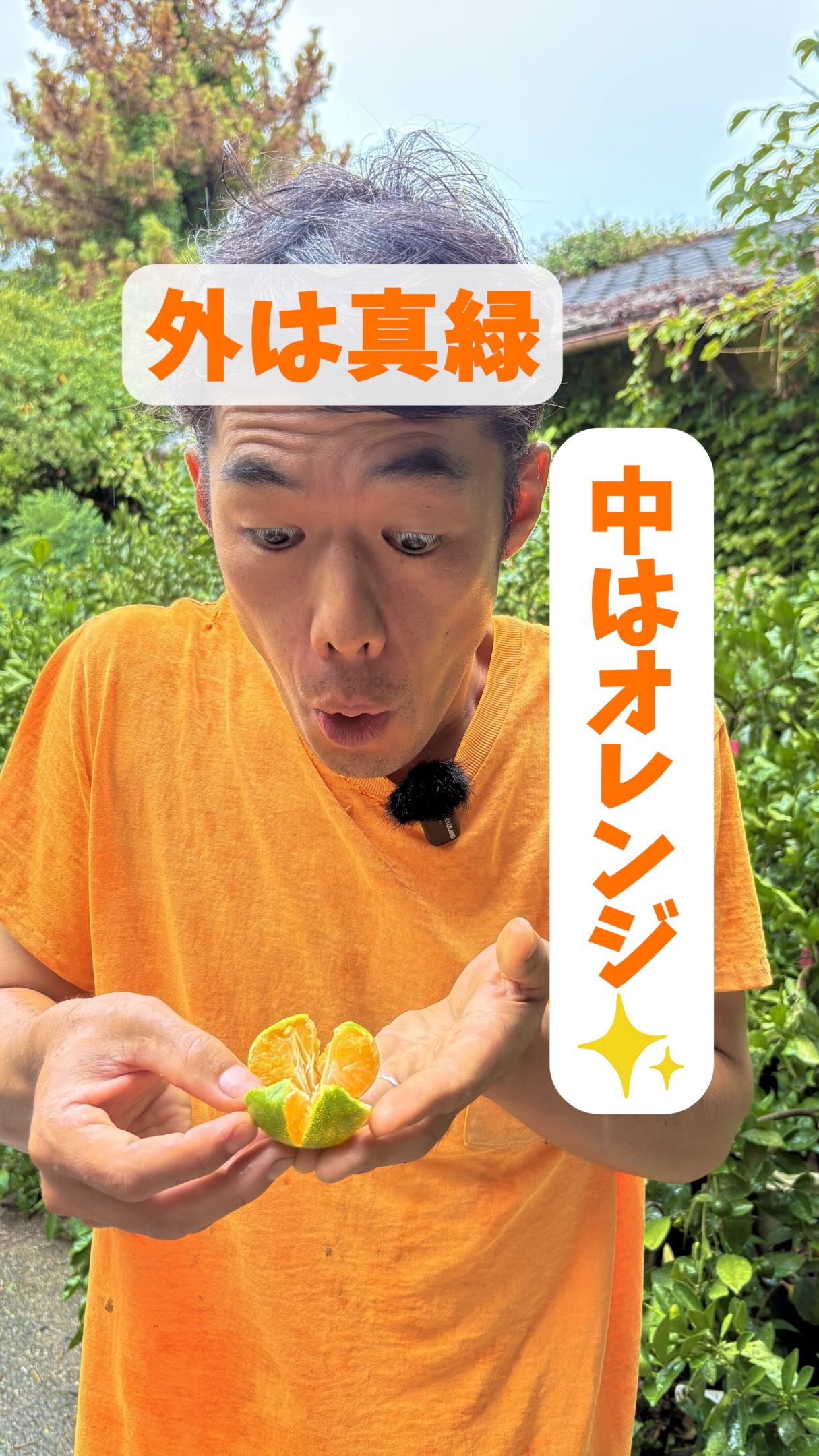 みかんのみっちゃん農園 (@mikan.no.mitchan.noen) • Facebook