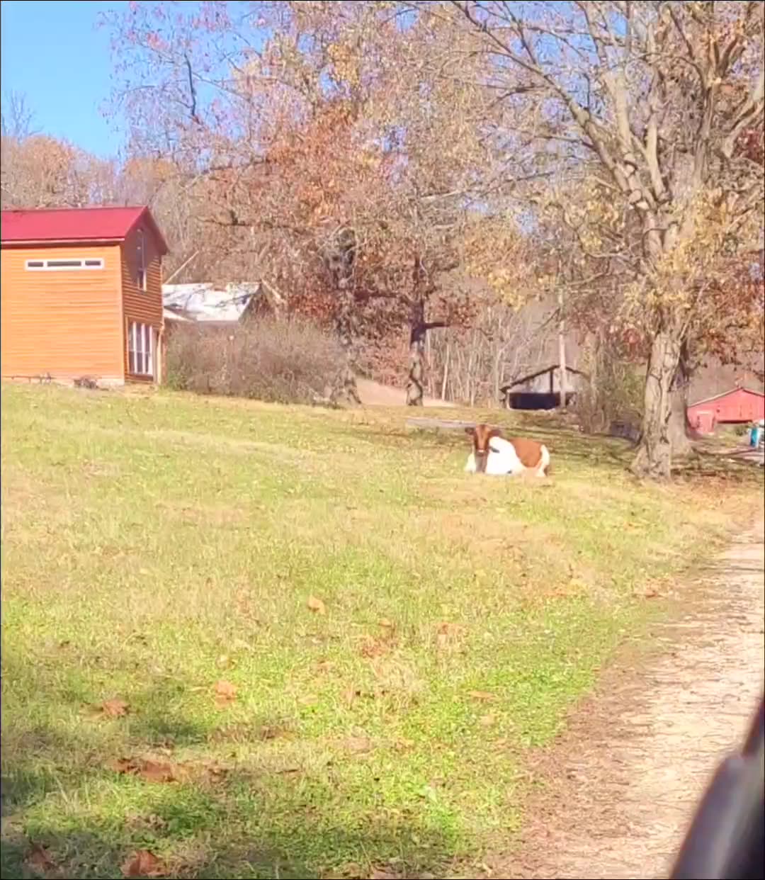Holy Rock Ranch
