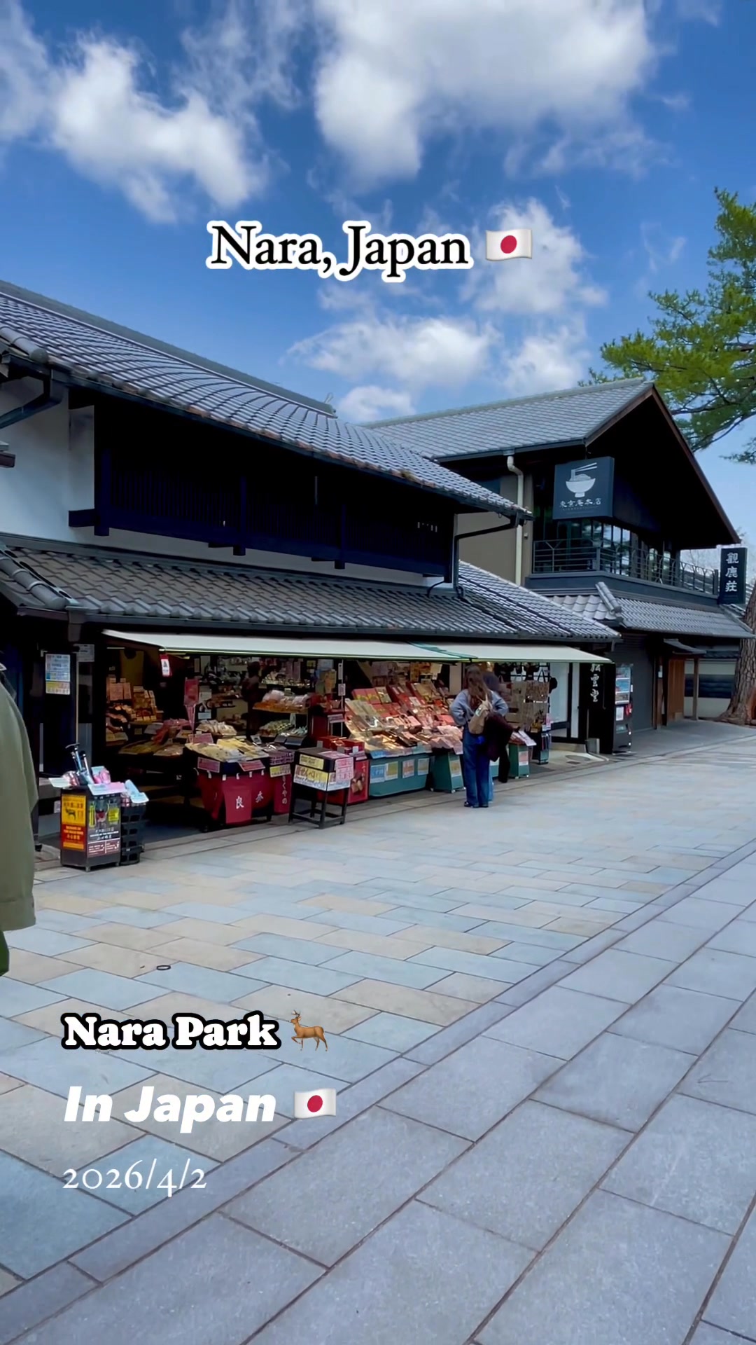 naranaraです❗️❗️❗️ Nara, Japan 🇯🇵. #japan #travel #nara | In Japan