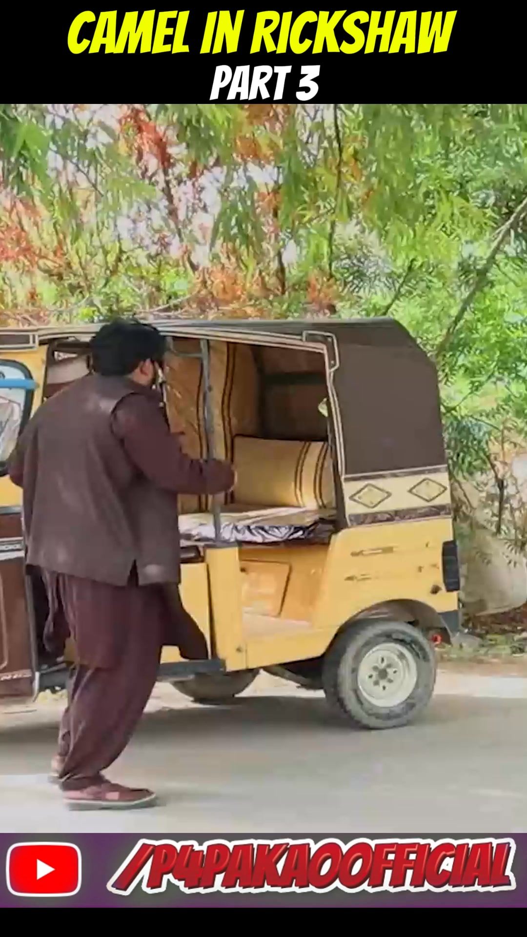 CAMEL IN RICKSHAW PART 3 | Nadir Ali | Facebook