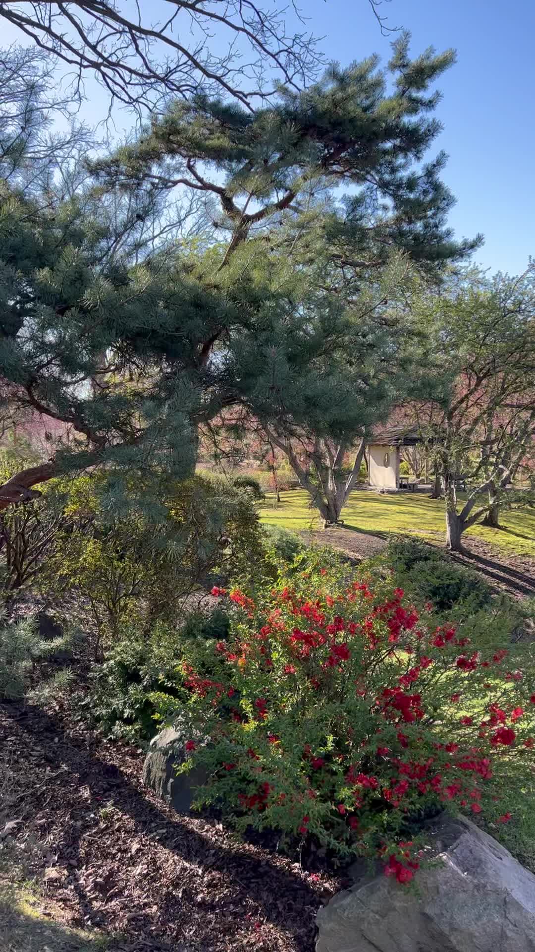 Can you believe this view exists at the Mizumoto Japanese Stroll