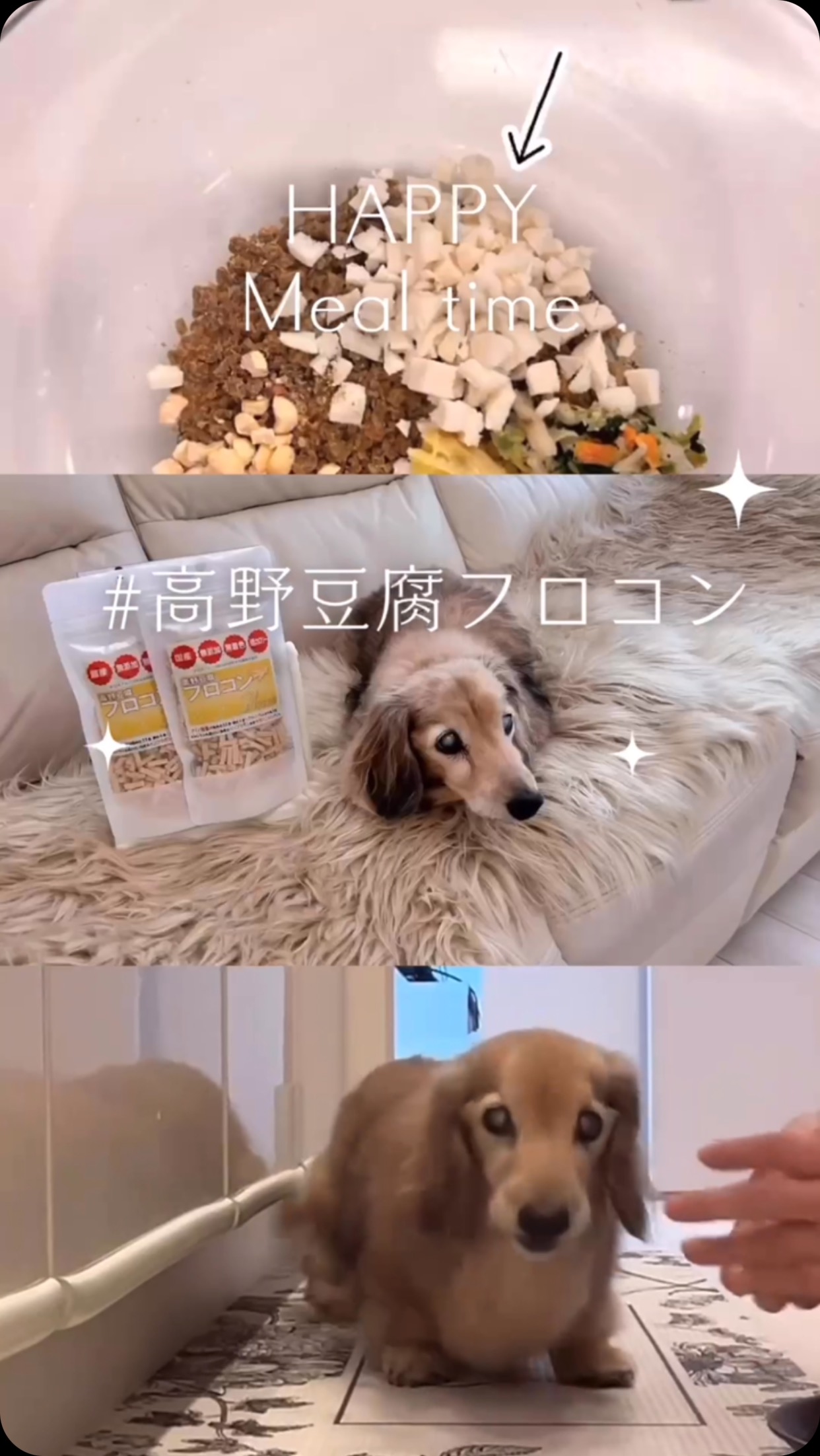 ルシアン・エ・サヨのプロフィール