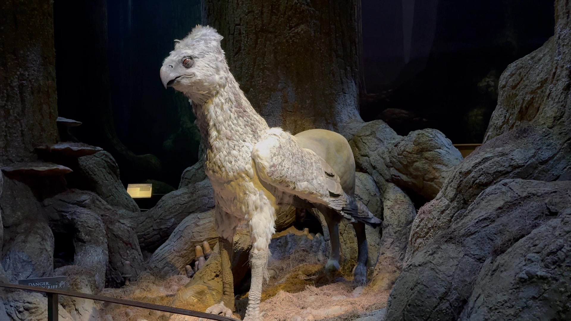 Four different versions of Buckbeak were created for filming 