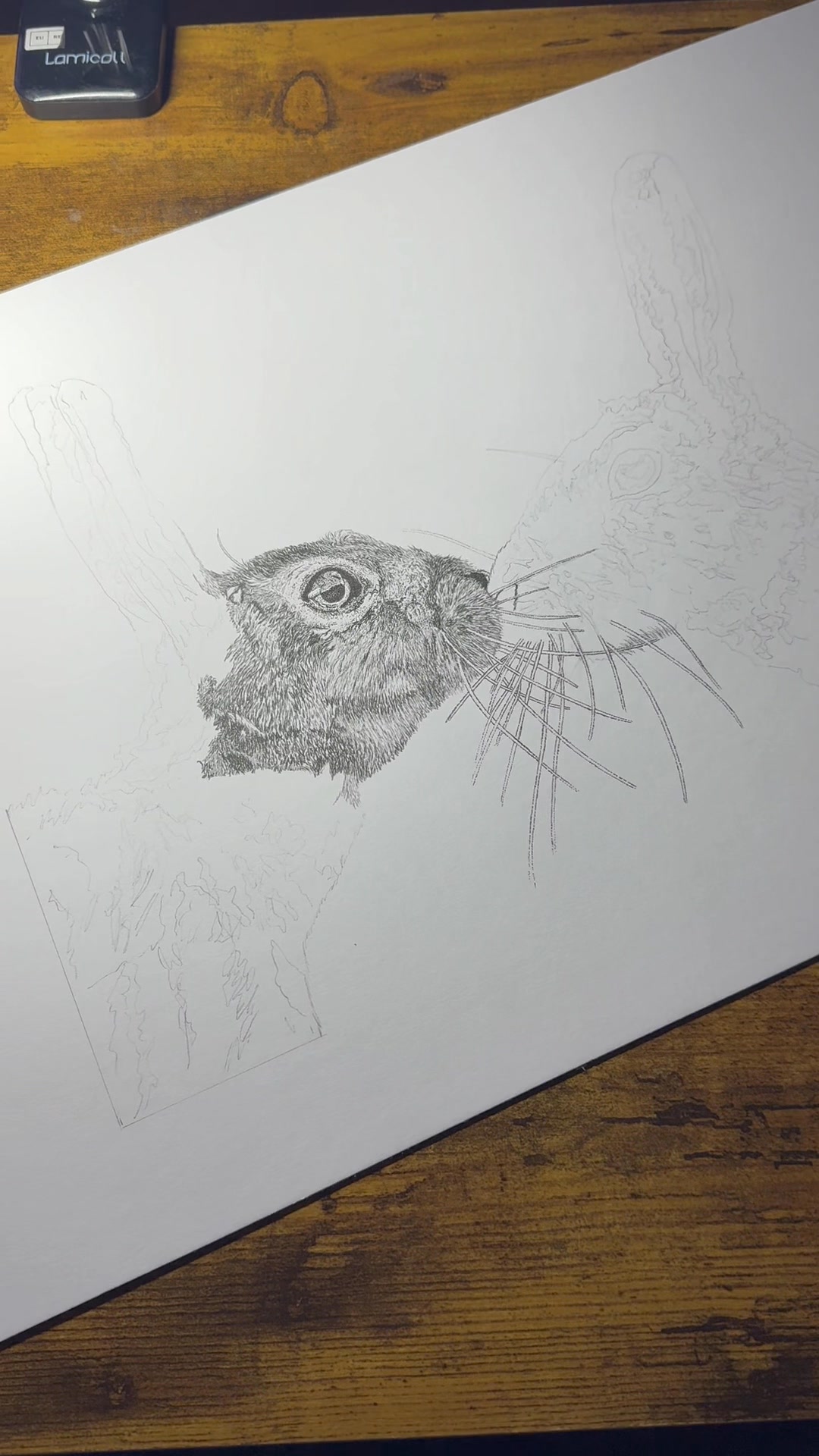 Last nights progress on this piece…#stippling #bees #countryside #hares ...