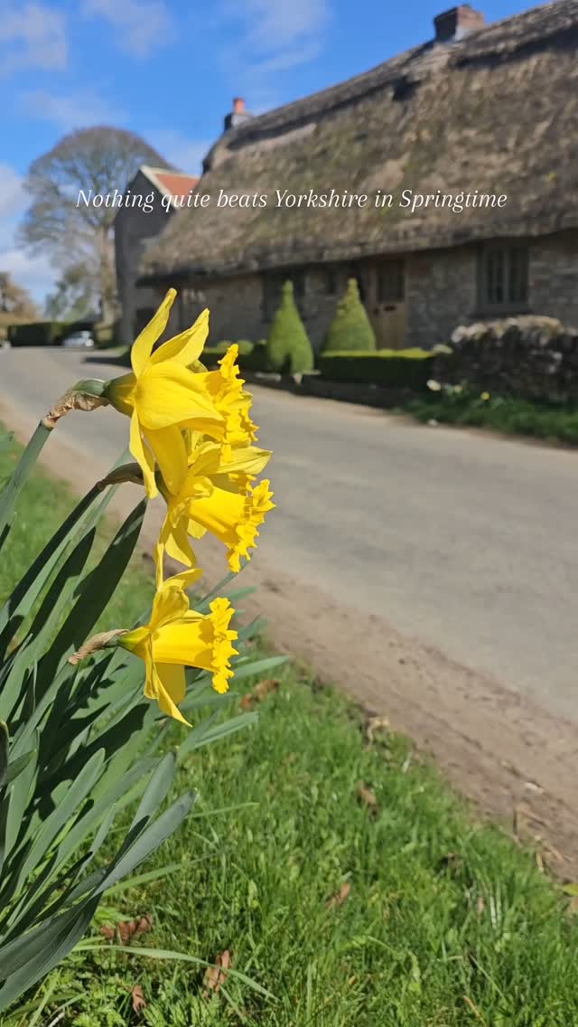 Yorkshire in spring has to be one of my most favourite things. From ...
