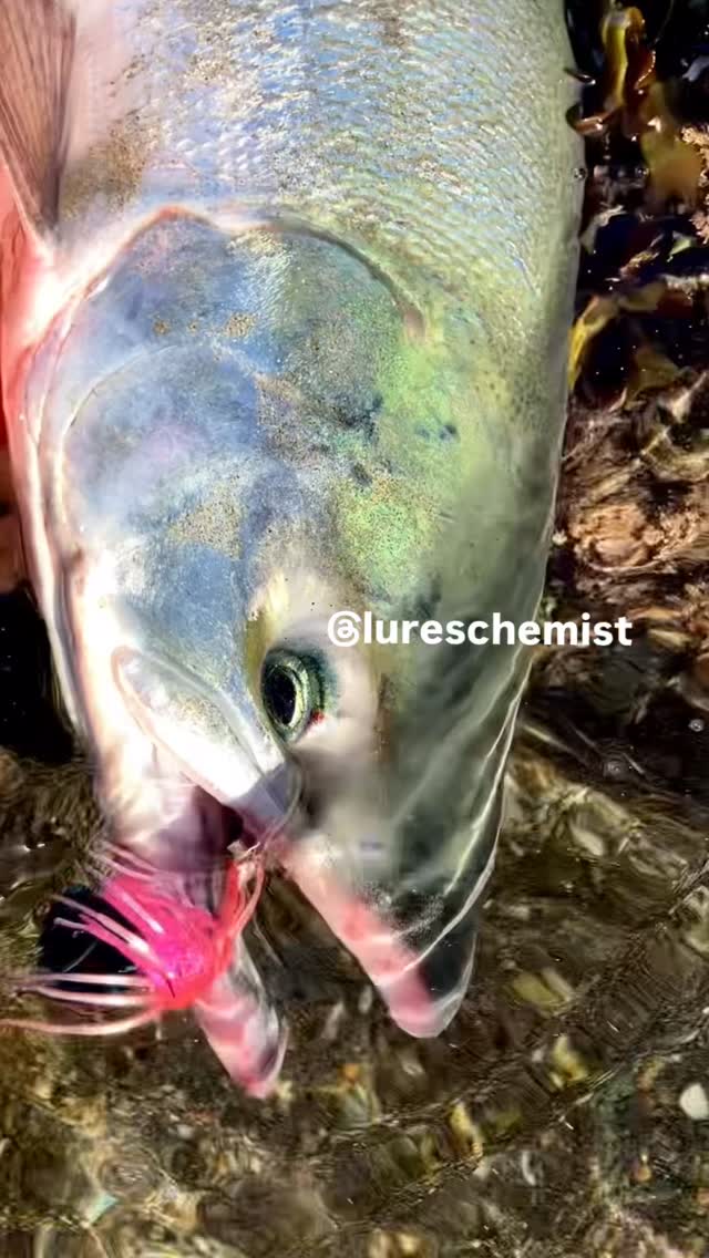 Lures Chemist (@lureschemist) • Facebook