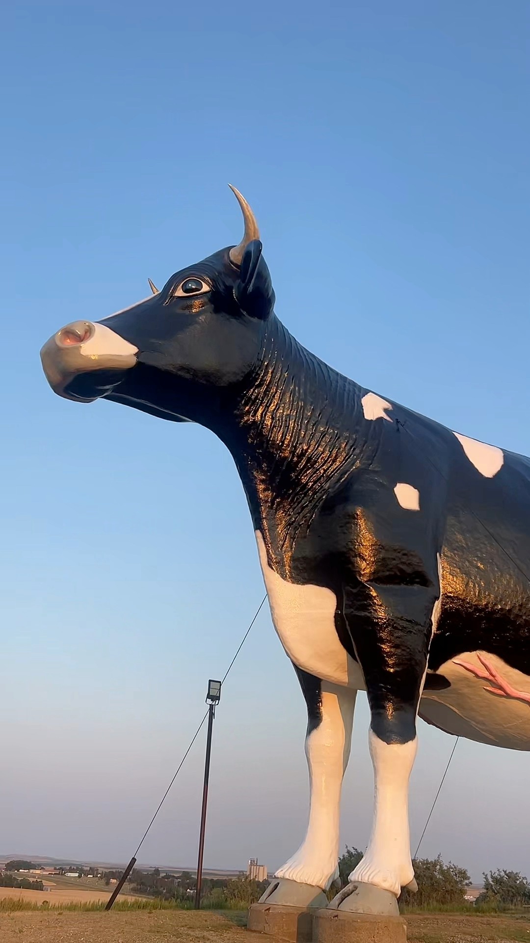 自主盤/STATE COWS関連/北欧AOR名盤◆DP/STRANGE WAYS northdakota #midwest #roadtrip has some of the funniest roadside