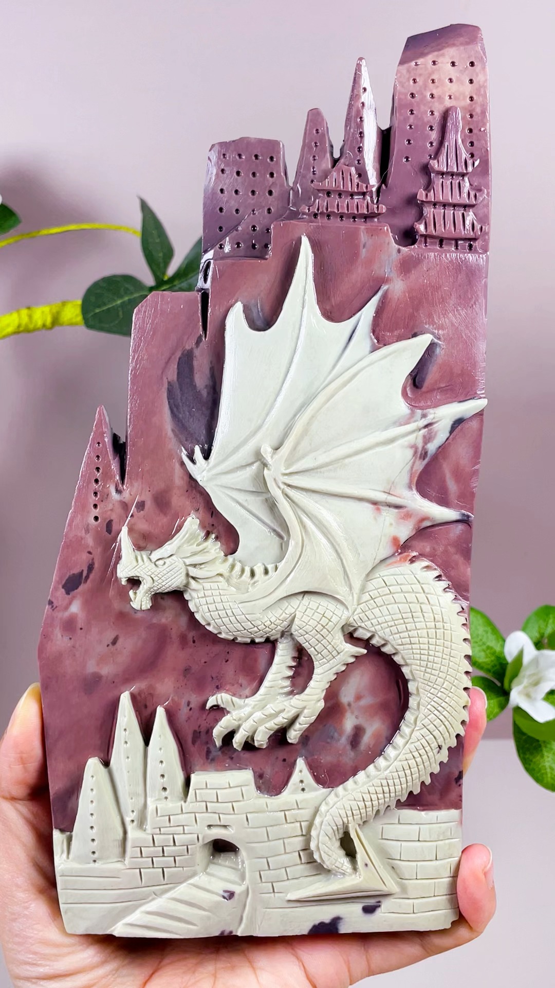 苗木・植木 Puple jade dragon 接木苗