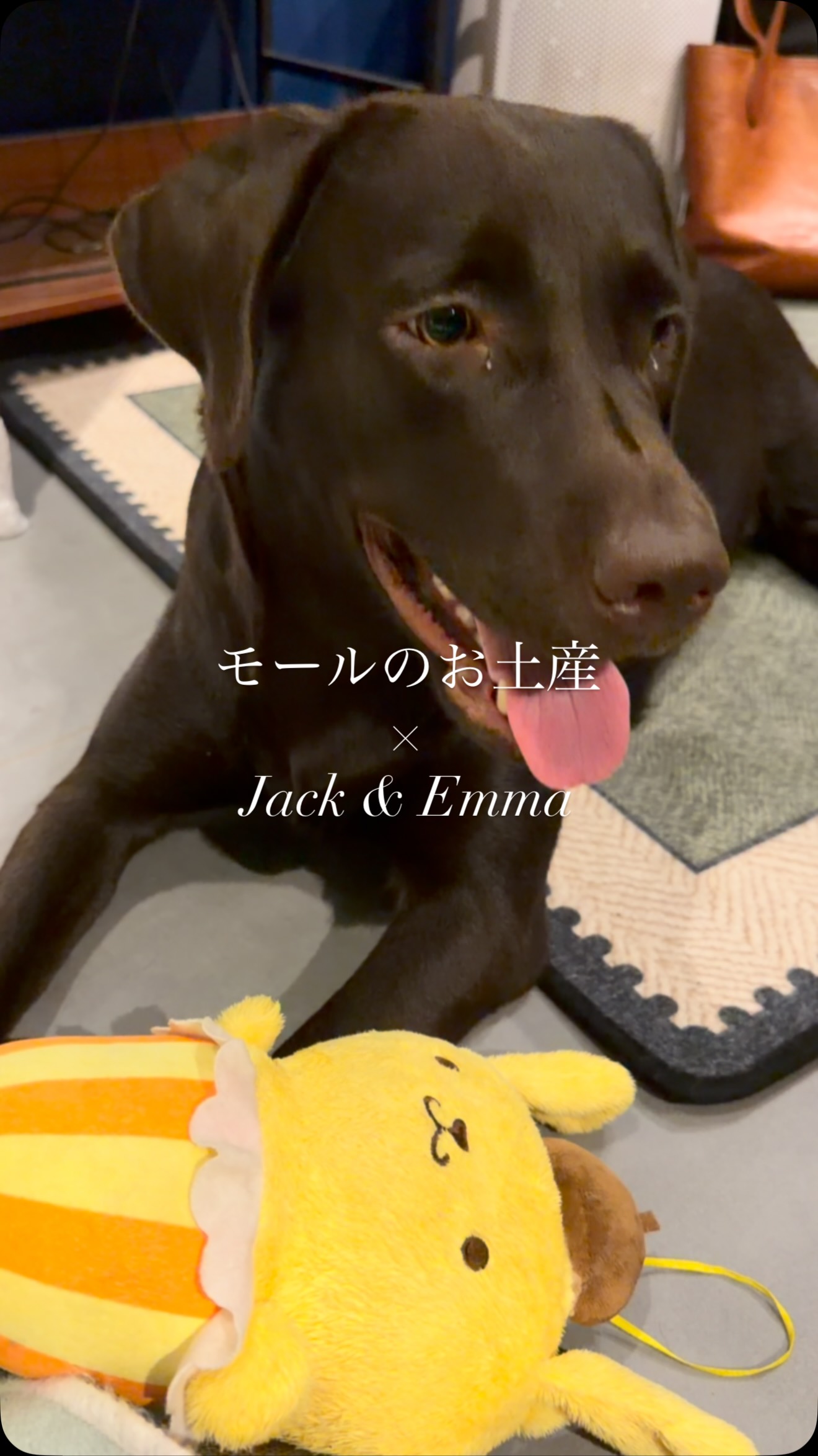 Shimazu Kenichi (@Shimaken092) • Facebook