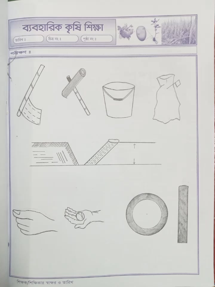 Assignment & practical