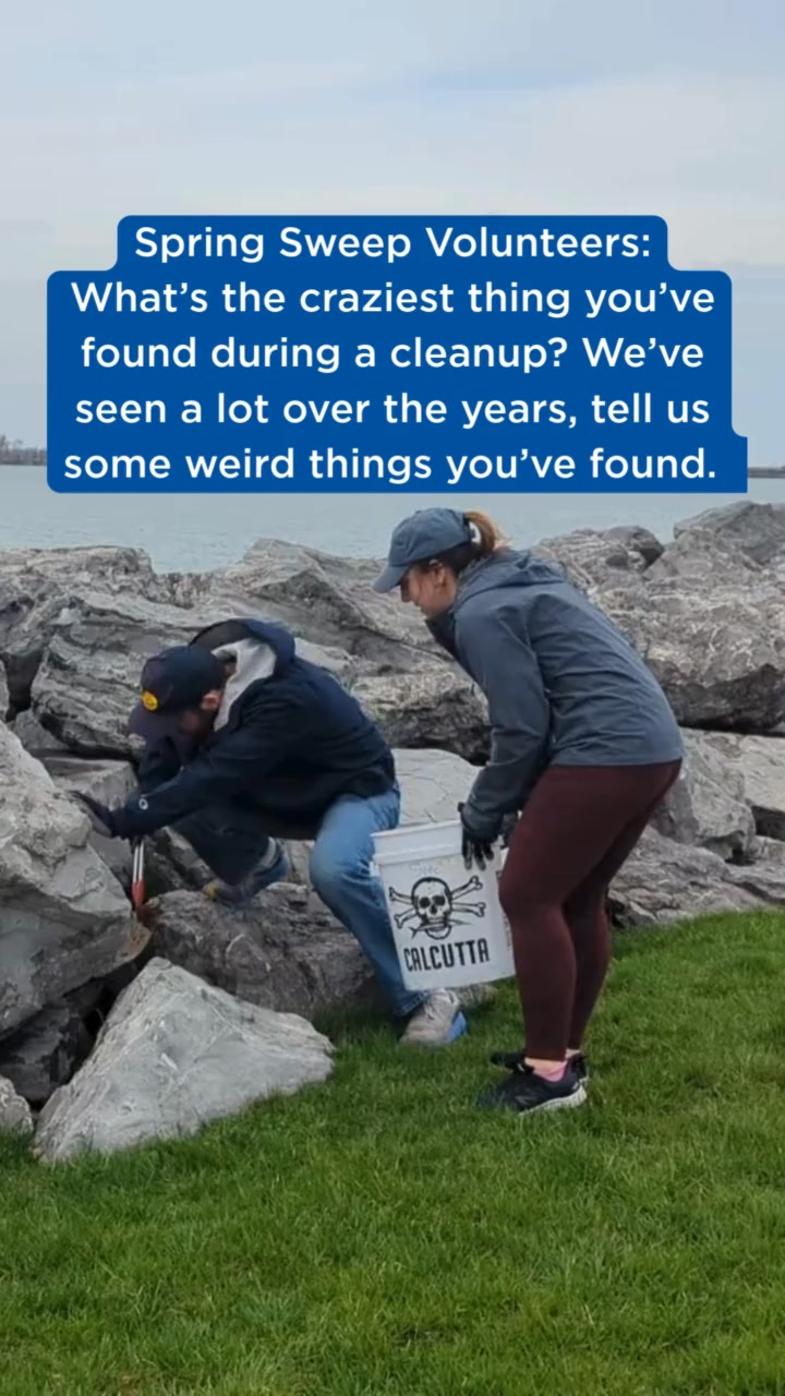 To our past Spring Sweep volunteers, what are some crazy things you've ...