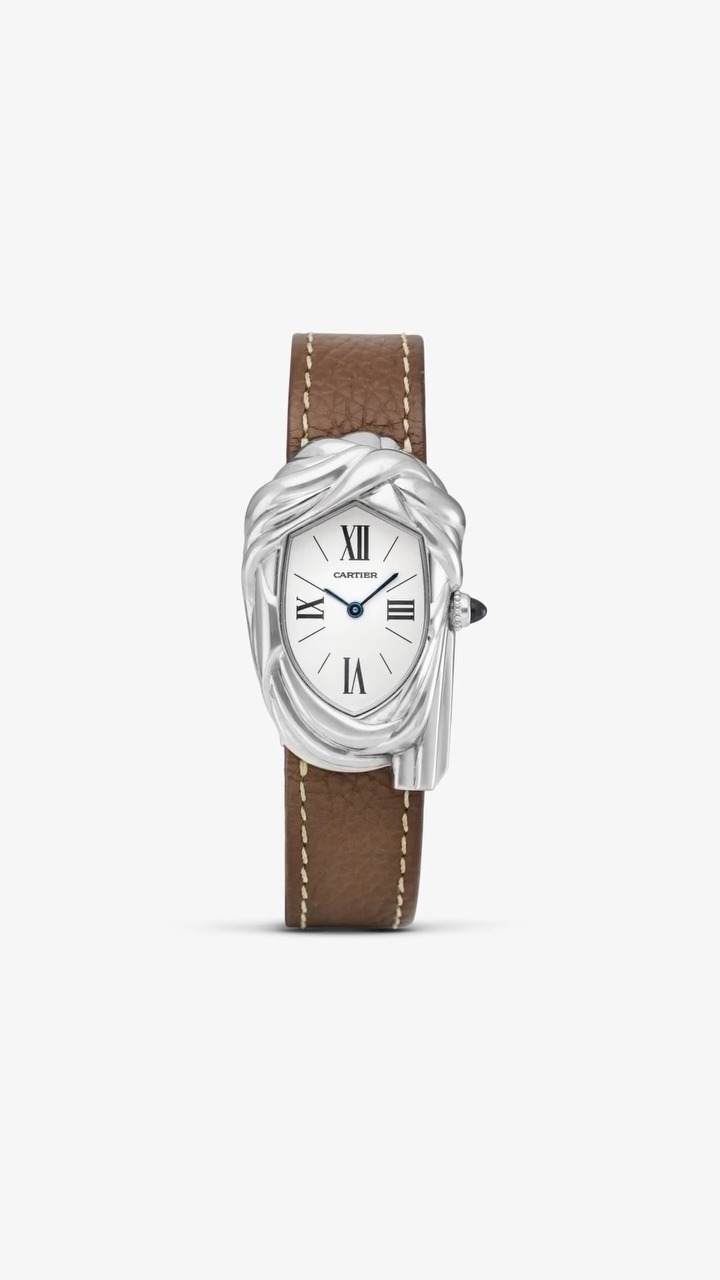 It's a world record! The only Cartier Cheich in white gold to
