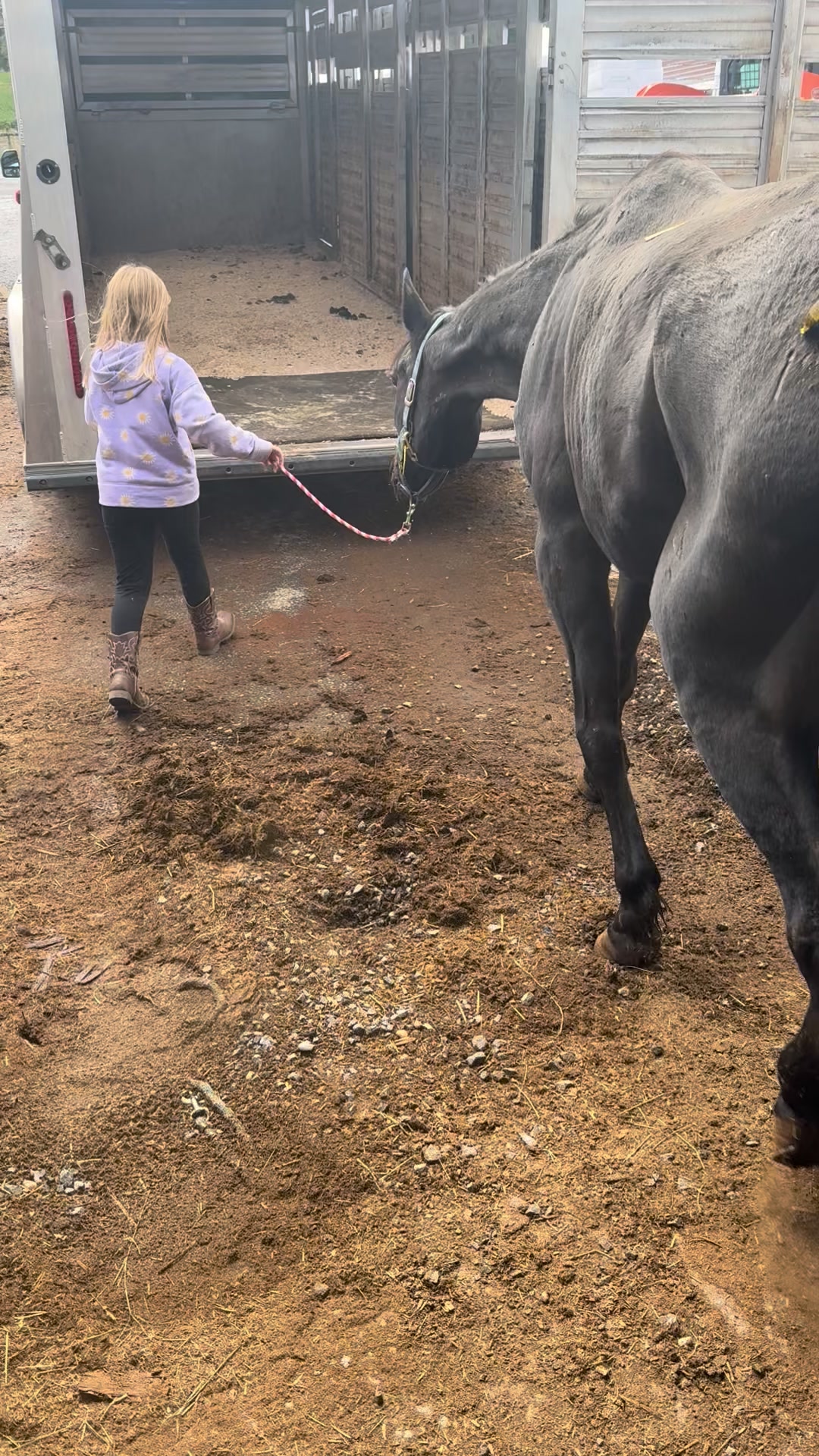 SWEET BENNY WITH THE HURT LEG HAS LEFT FOR QUARANTINE… Look how ...