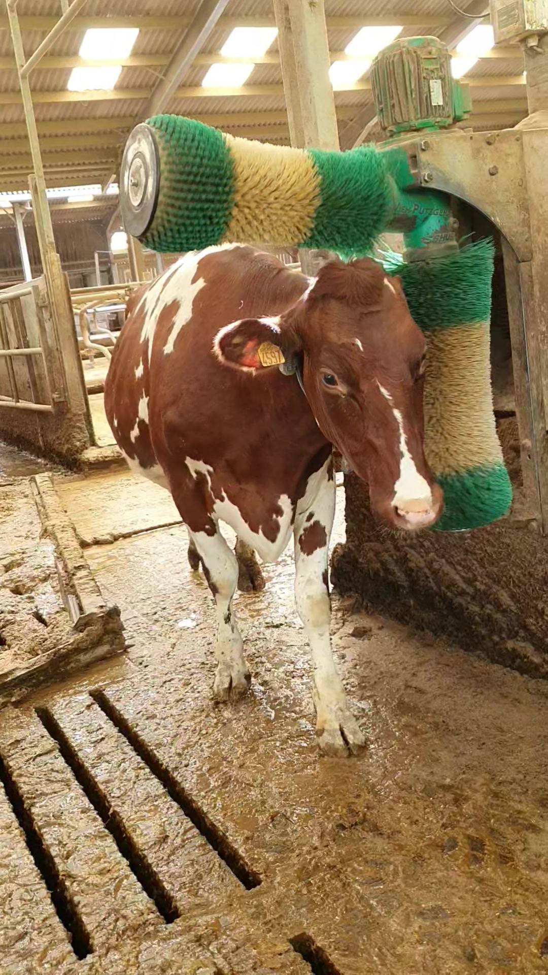 High Craig Farm | Eaglesham