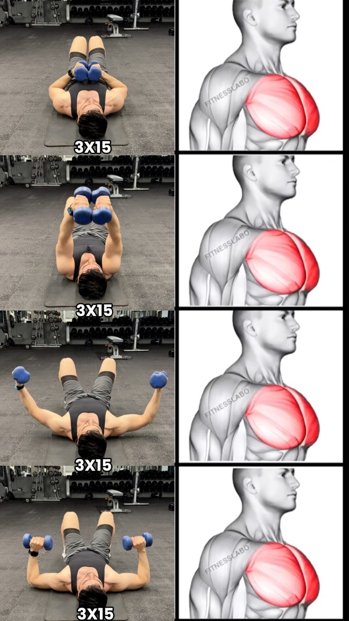 Top 4 best Chest exercises withDo these 4 exercises for a strong chest ...