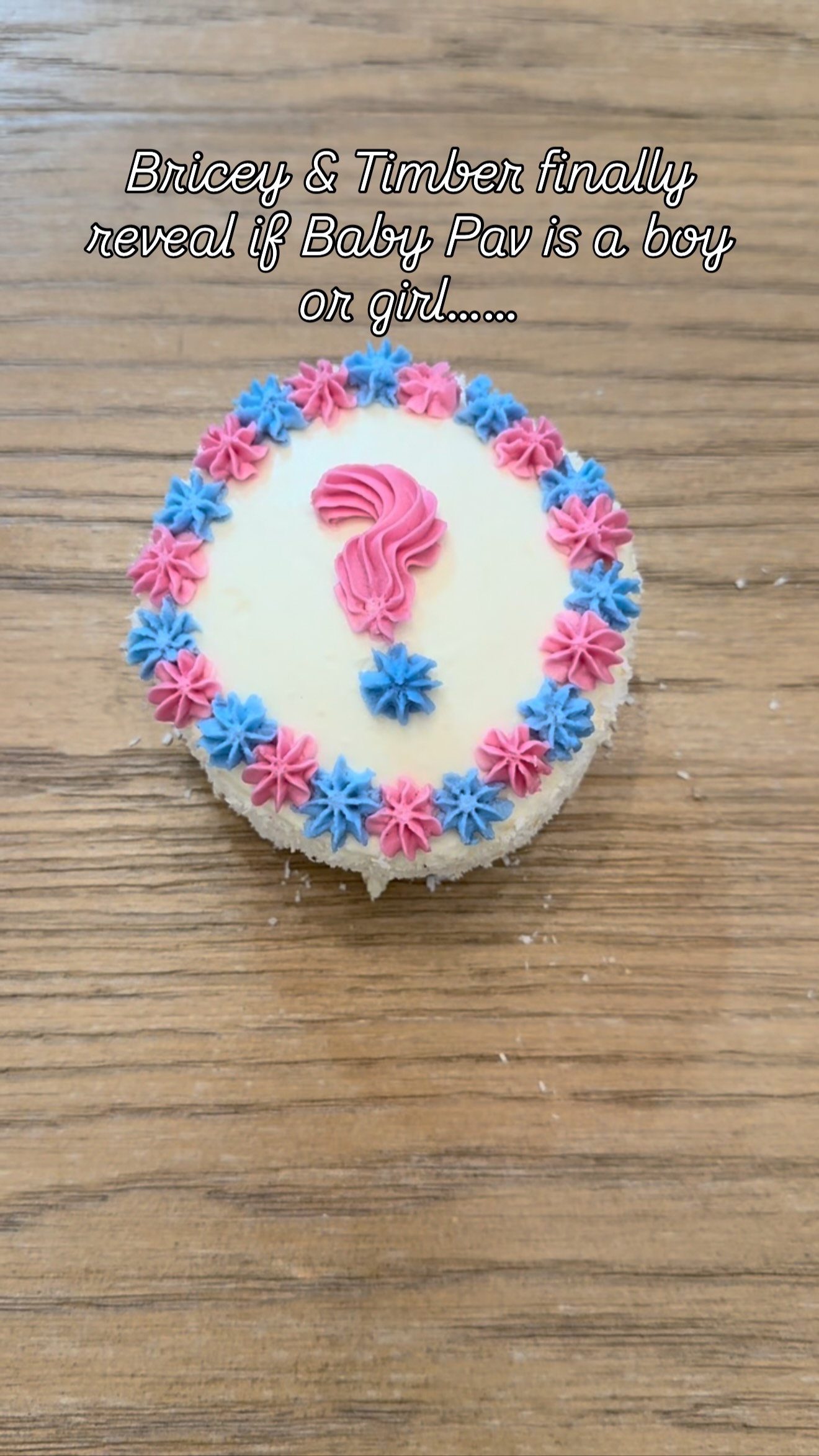 ITS A……..💙💗. Special shoutout to @threedogbakerykingston for making our ...