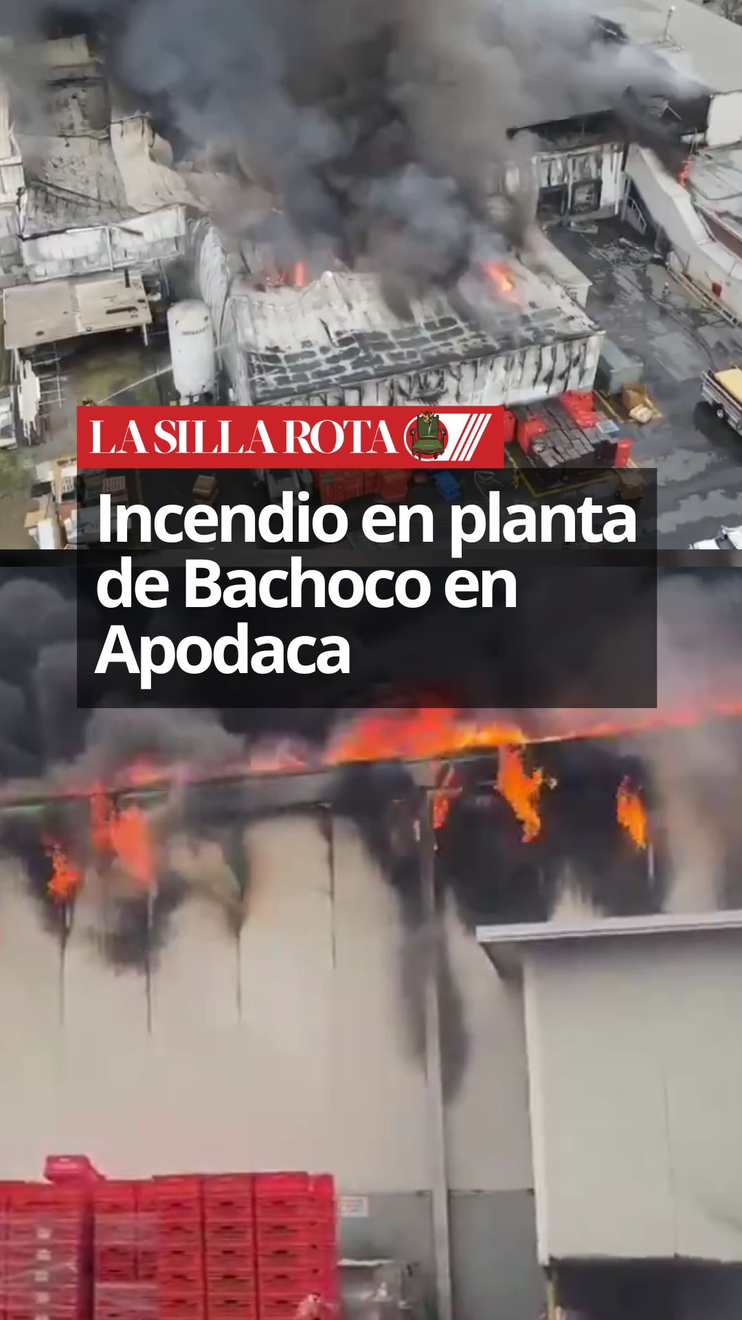 Un incendio de gran magnitud arrasó con más de 360 toneladas de ...