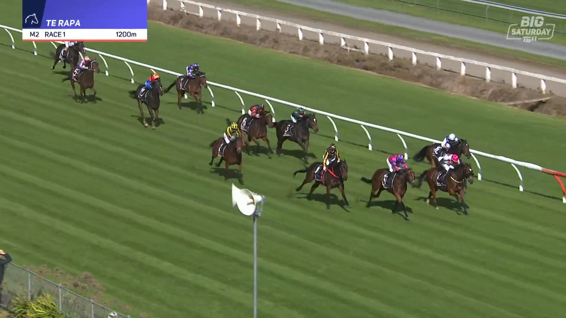 Race 1 Te Rapa Racing is won by Illuminated Miss! 🎆 Huge ride from ...