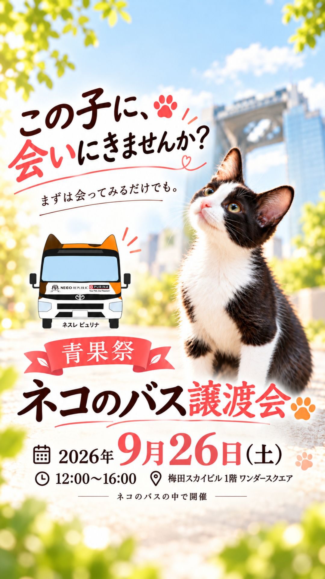 ねこ浴場 保護猫カフェ Neco Republic OSAKA shinsaibashi（ネコリ