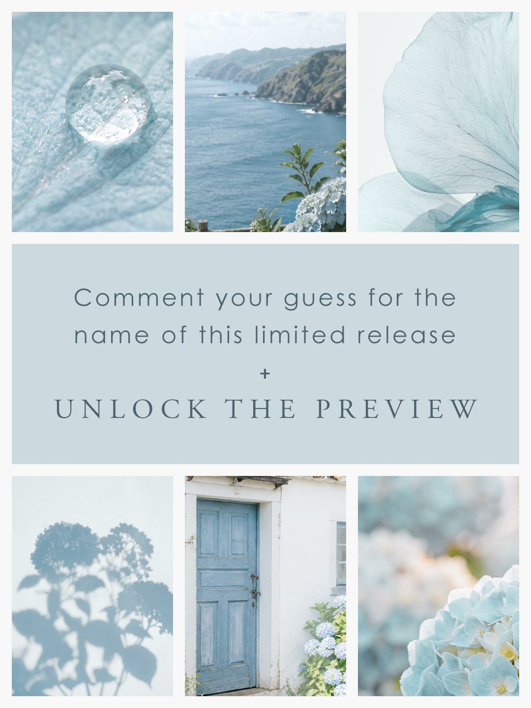 Guess the name of our newest limited release! Comment your best