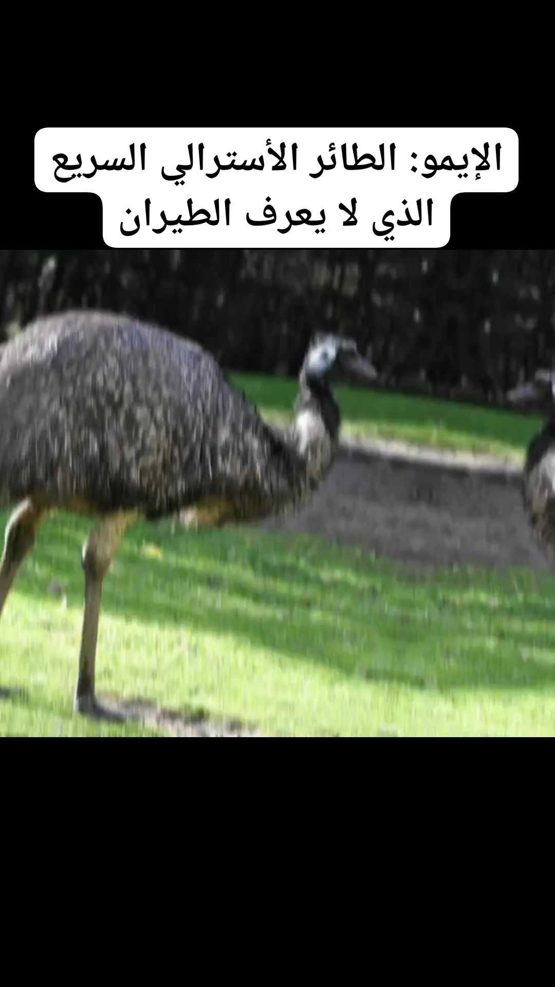 الرابطة المغربية لتربية و تسويق الأرانب | Salé