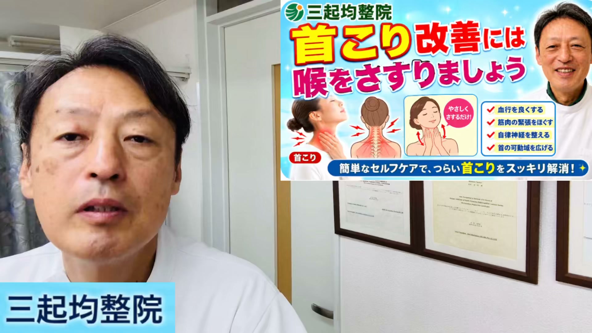 こんにちは。少し前からお店に置いてあった天然ゴムのクッション。ご