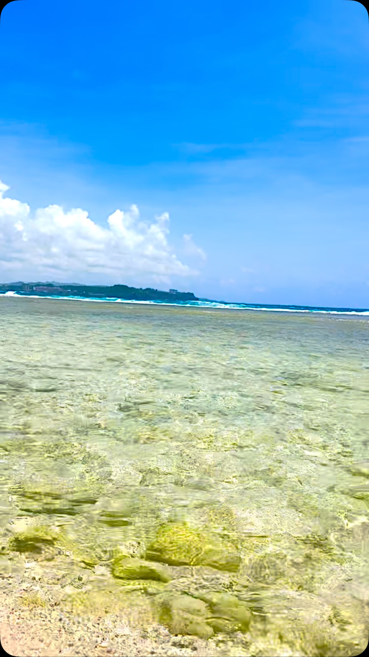 楽園グアム.com | Tamuning Guam