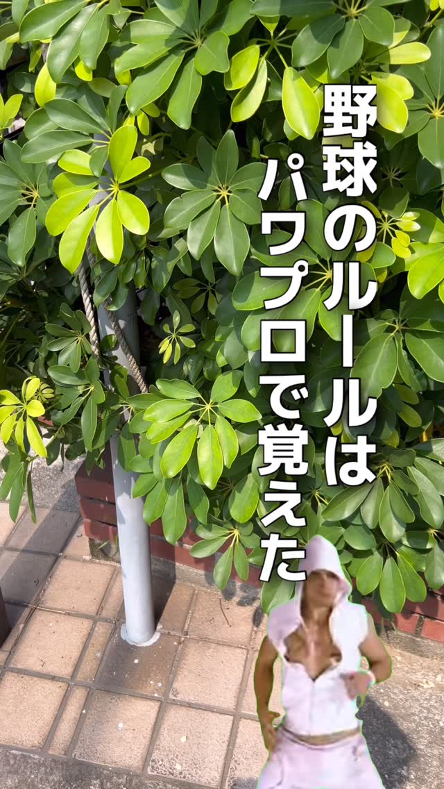 Hirano Leather Japan
