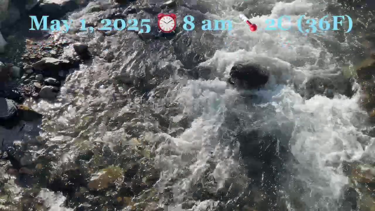 𝗙𝗿𝗲𝘀𝗵𝗲𝘁 𝗪𝗮𝘁𝗰𝗵 – May 1, 2025 This morning creek was running clear and ...