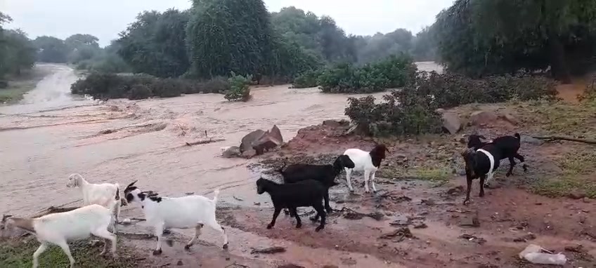 SCHOOL REOPENING MIGHT BE DELAYED. FLOODING AT MUTALE AREA. | Hulisani ...