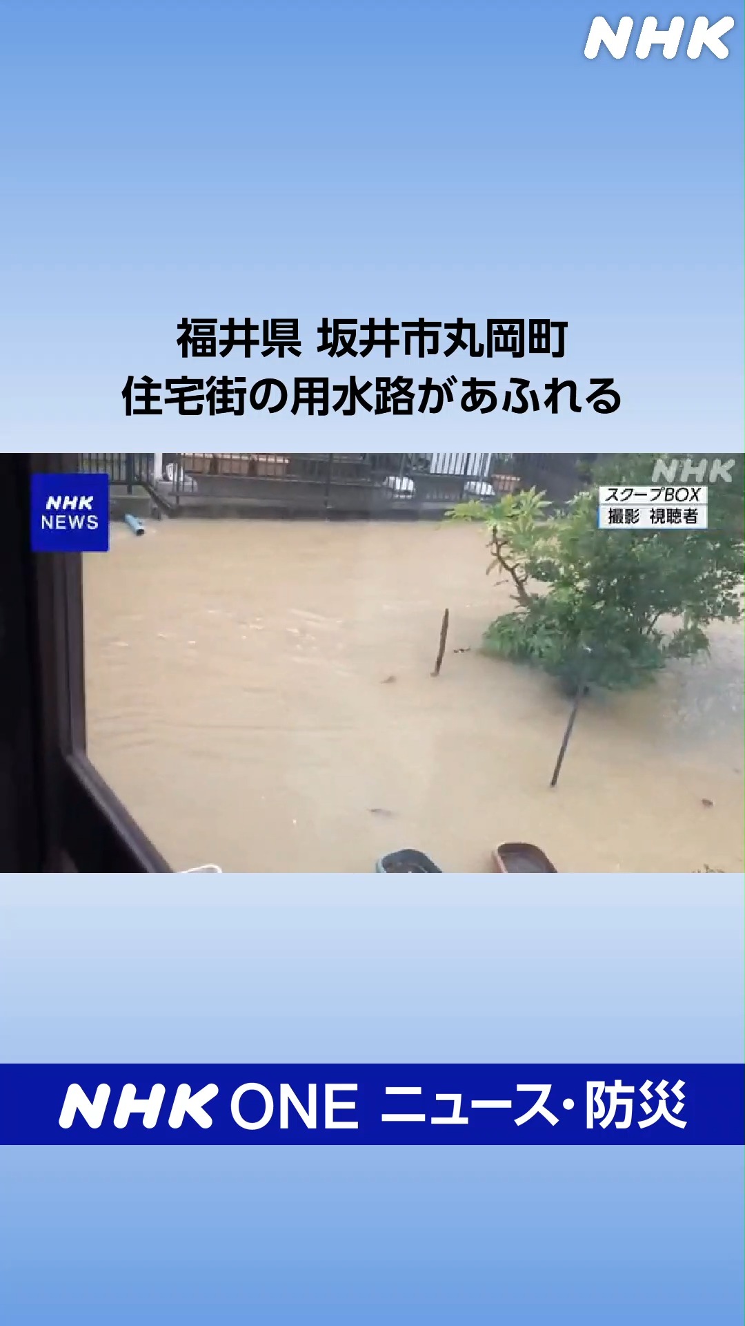 福井 の ニュース