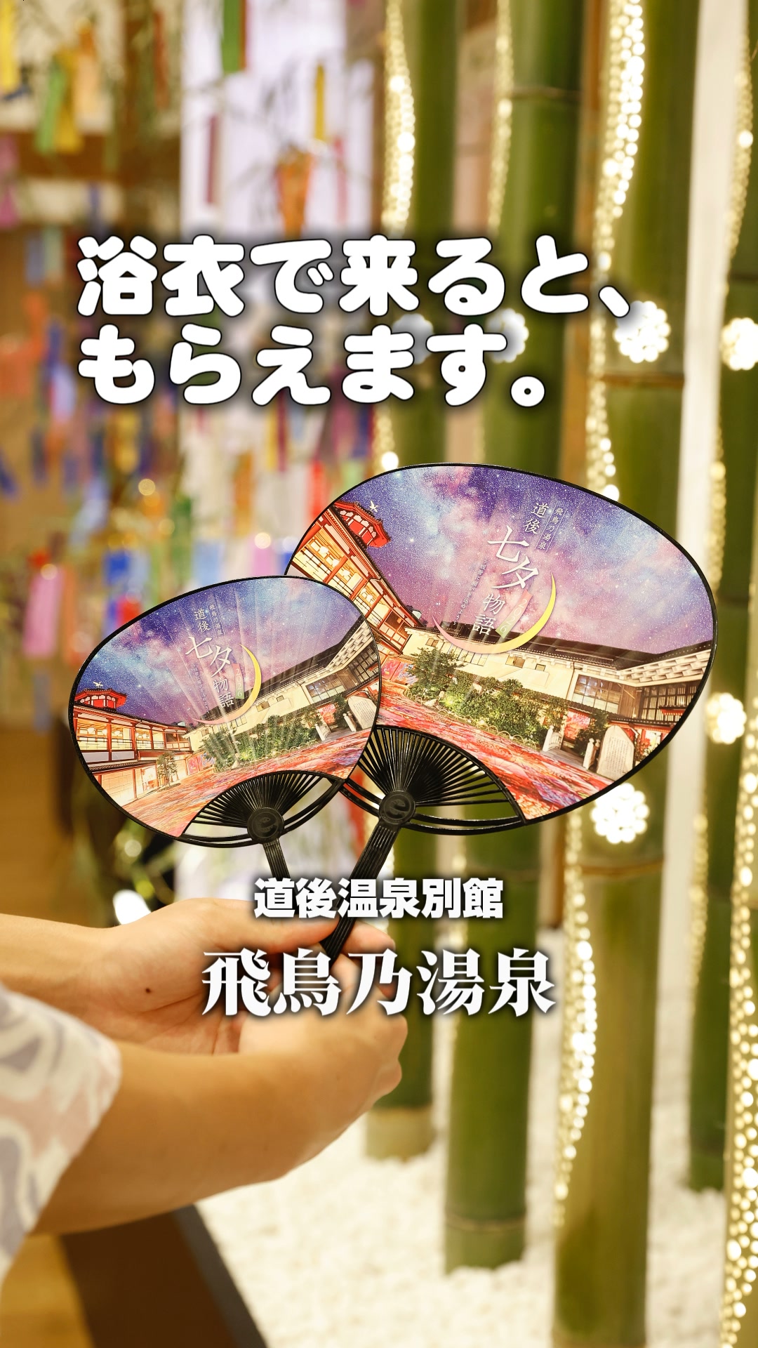 🌸道後温泉別館 飛鳥乃湯泉で「砥部焼ひなまつり展2026」開催中