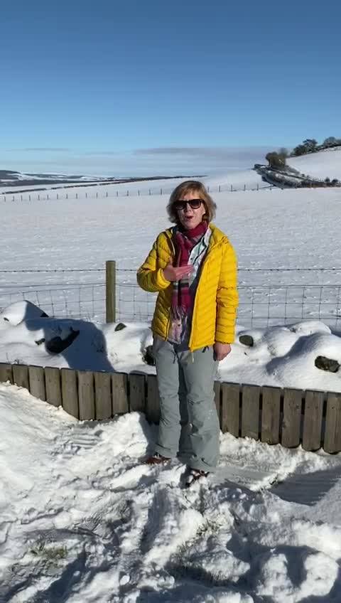 Our next snow day task comes from Flo and she’s challenging you to make ...