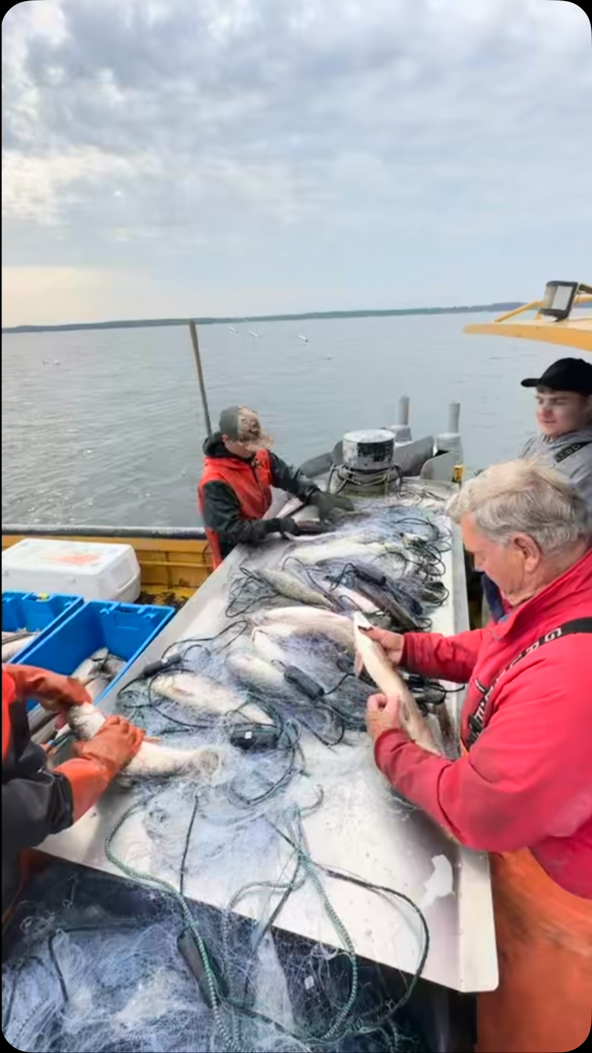 Spring has Baileys Harbor Fish Company counting down to our fish market ...