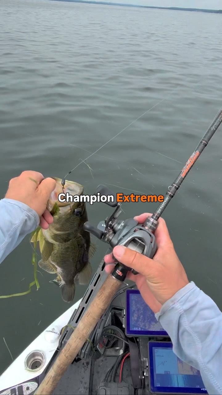 discount left handed fishing reels 13 Concept A2 7.5:1 Tough as nails Size:2