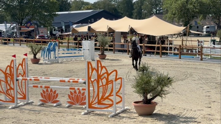 Zwartjens Sporthorses | Raalte