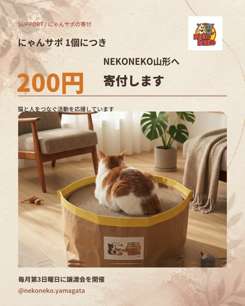 三つ猫 | Tendo-shi Yamagata