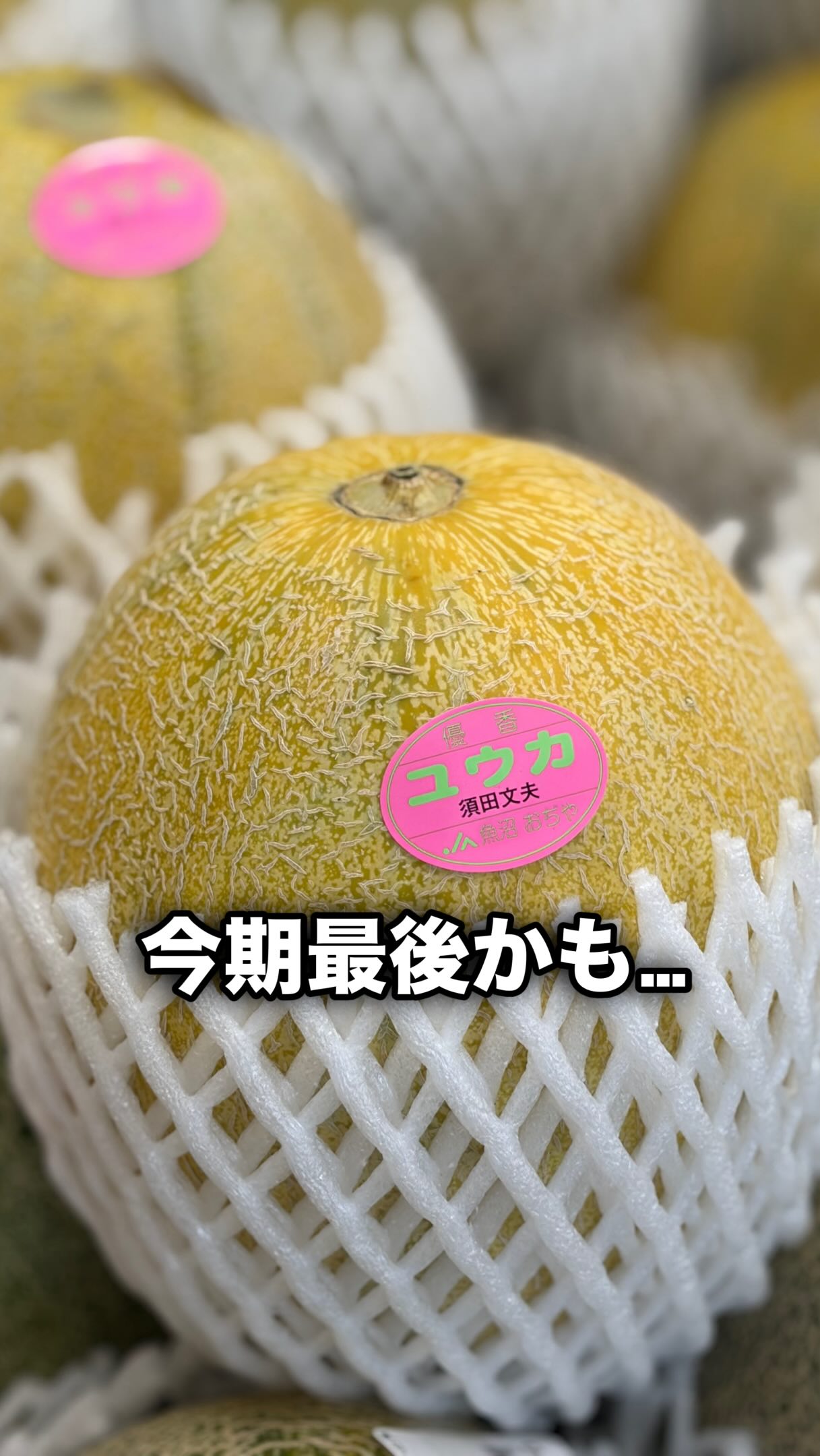やさいの声 | Namegata-shi Ibaraki