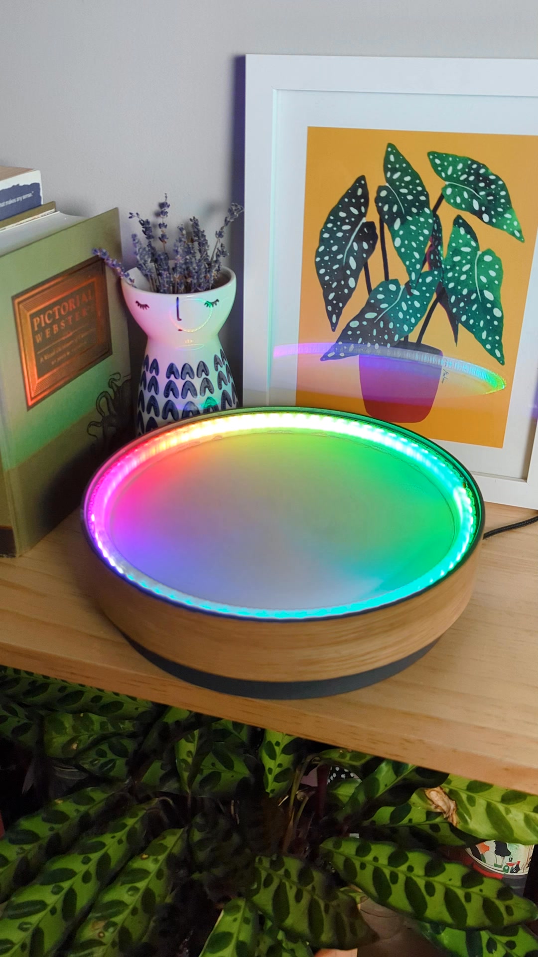 Relax and unwind with Oasis Mini. This app-controlled kinetic art