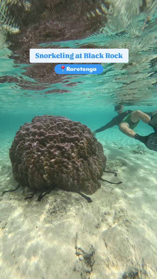 Nice little snorkel at📍Tuoro | Black Rock, Avarua. This is such a ...