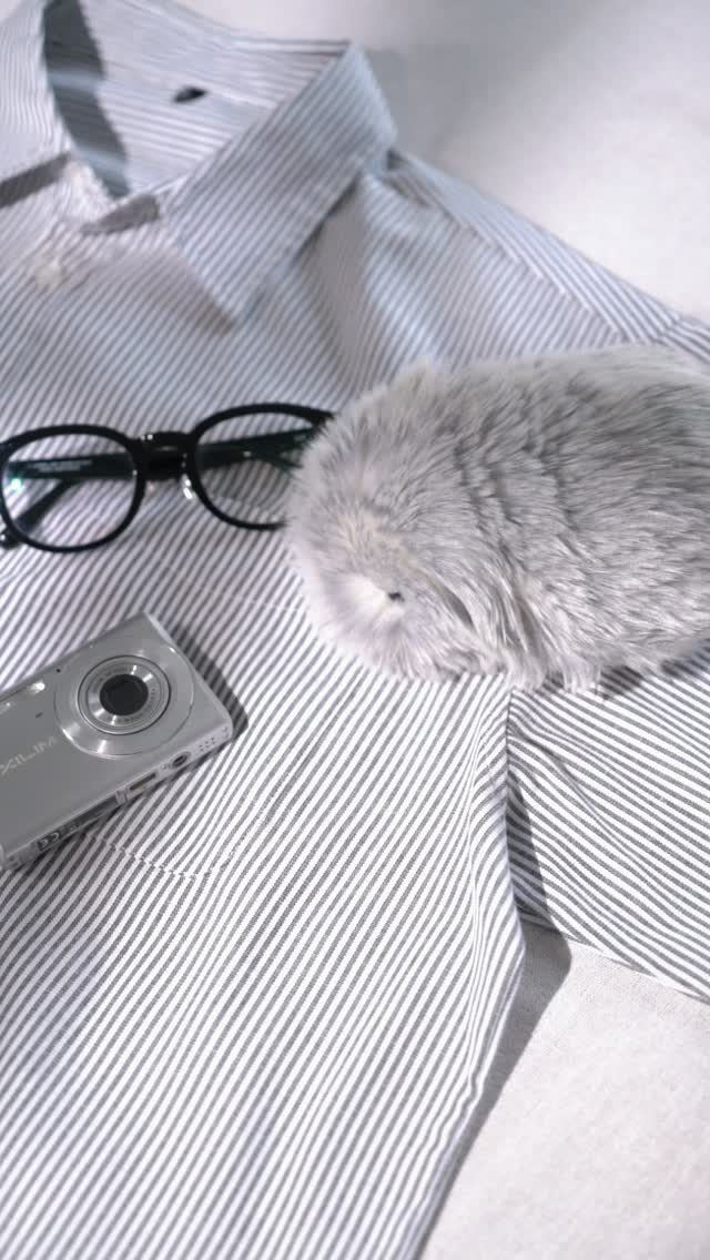 Moflin（モフリン） (@casio.moflin) • Facebook