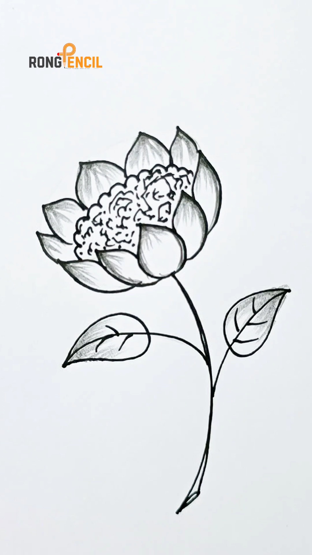 Easy flower drawing tutorials 🥰 #drawing #painting #art #artwork # ...