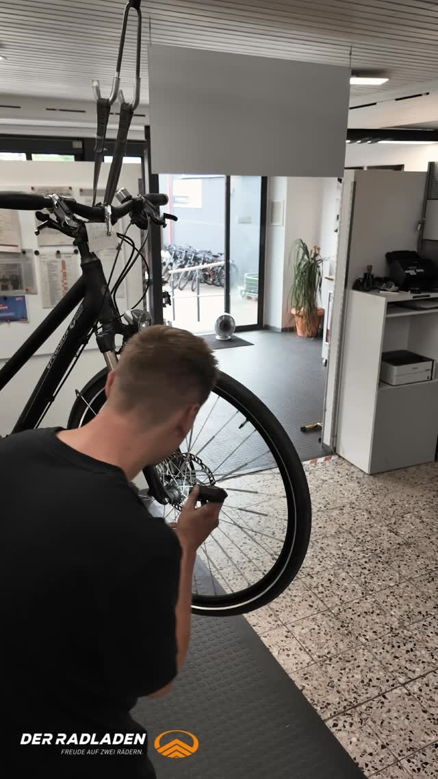 carbon max fahrradsattel cf-size-small Helmgröße:XL (61-62 cm) Gazelle Van Stael in
