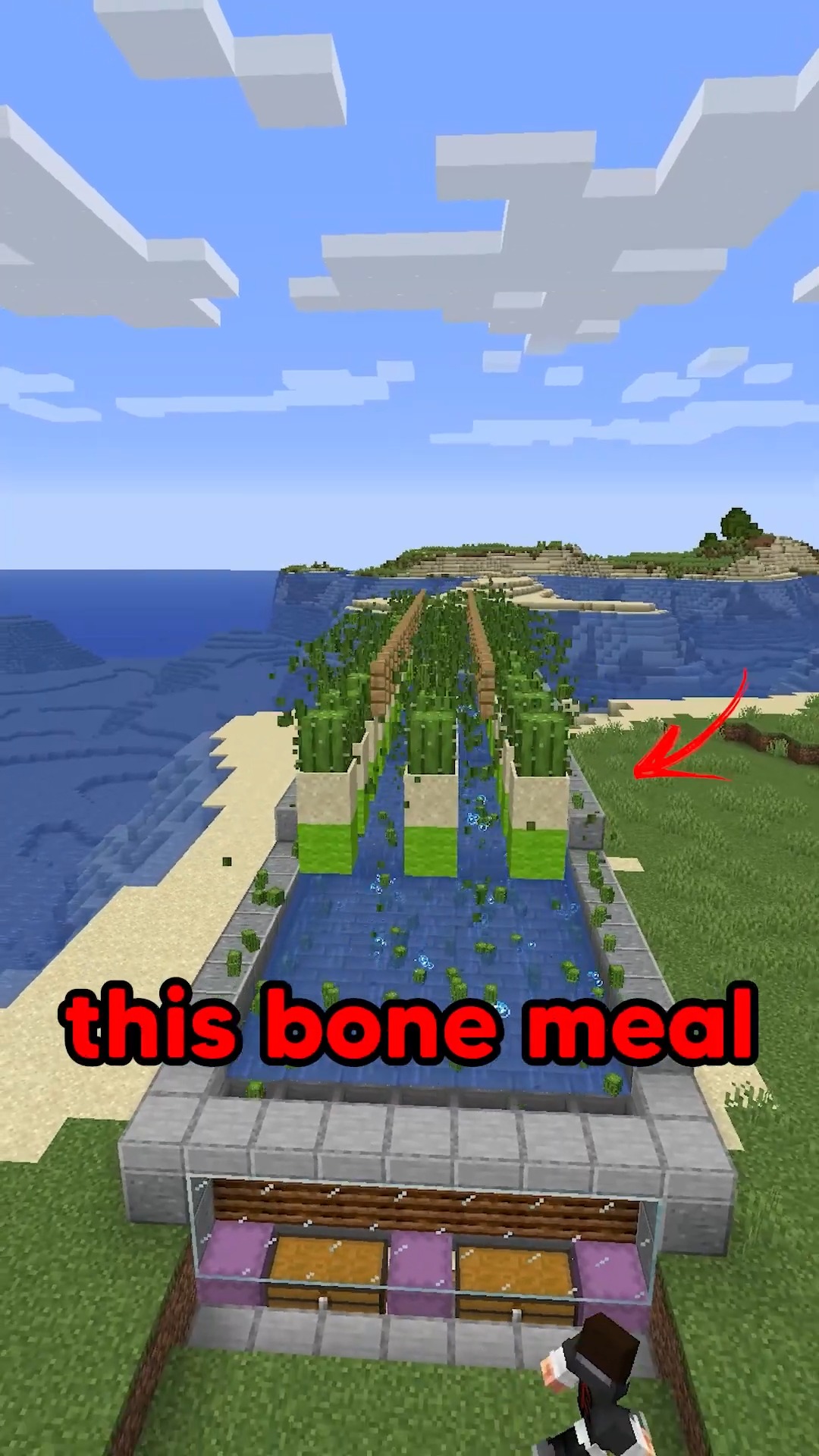 Using RIZZ to Fool My Friends | Minecraft, video recording | Using RIZZ ...