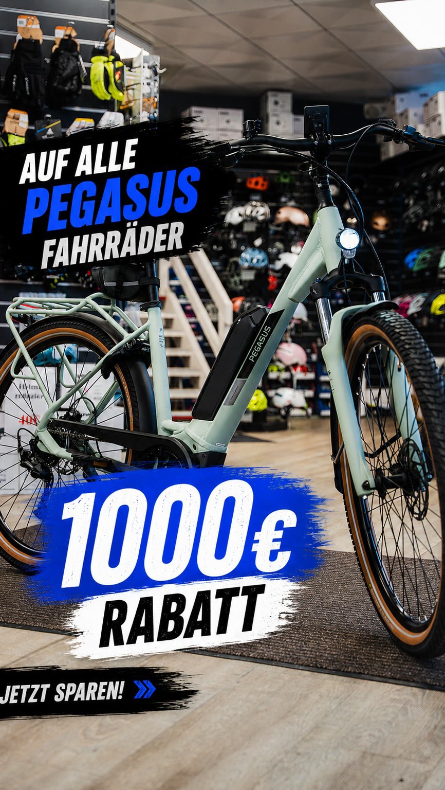 brabus fahrradschloss ROCKBROS 5-stelliges Kabelschloss – ROCKBROS-DE PRO Mega Fahrrad-Transporttasche - Holiday Travel Grande Farbe:Endless Violet / Kalamata Olive