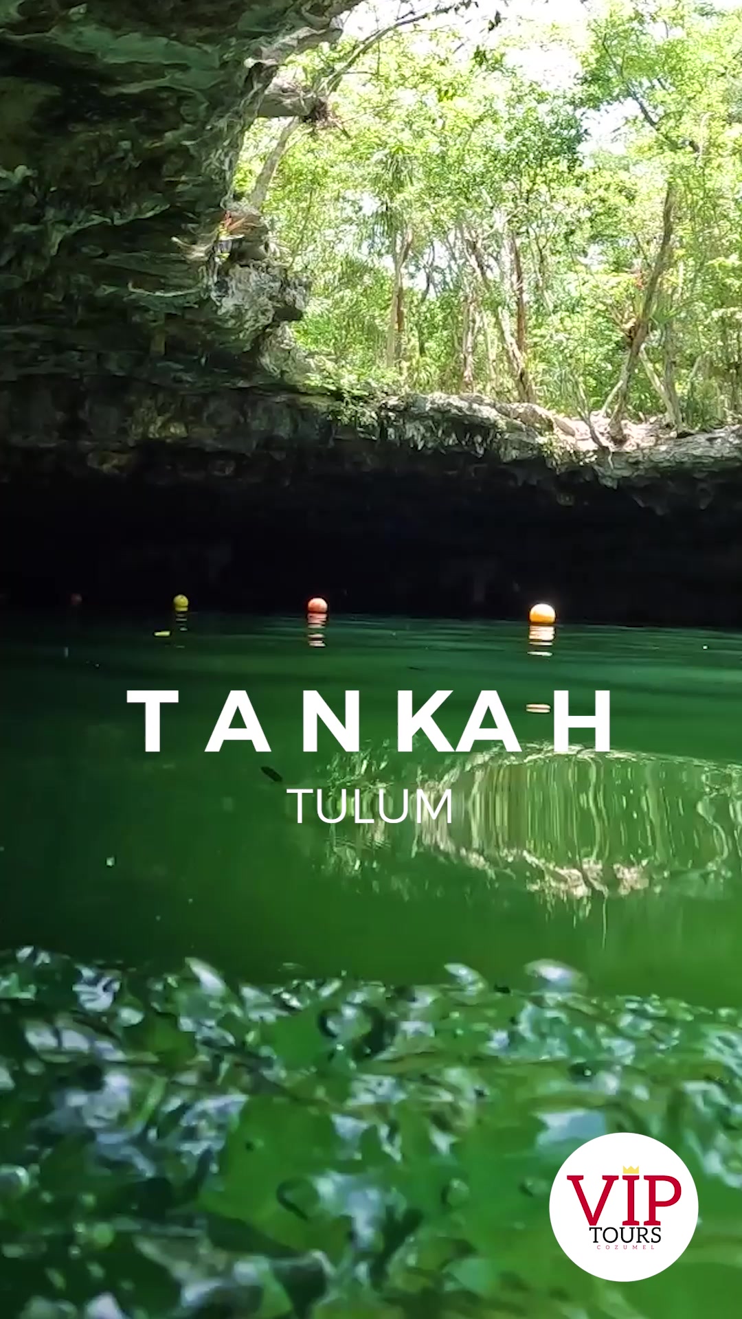 Tankah es el lugar perfecto para divertirte y relajarte🤩. Conoce los 4 ...