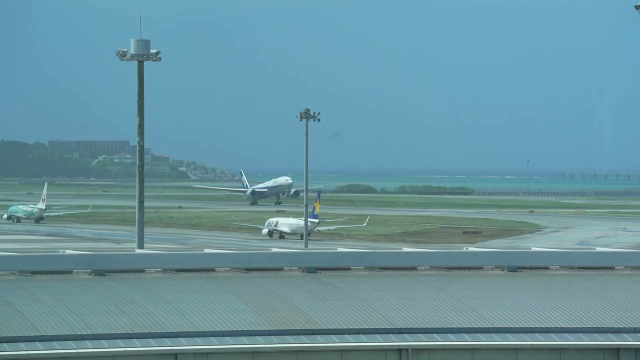 那覇 空港 欠航